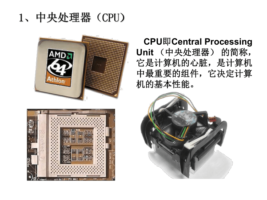 桂科版七年级上册信息技术 3.1认识计算机的硬件结构 课件（31张PPT）