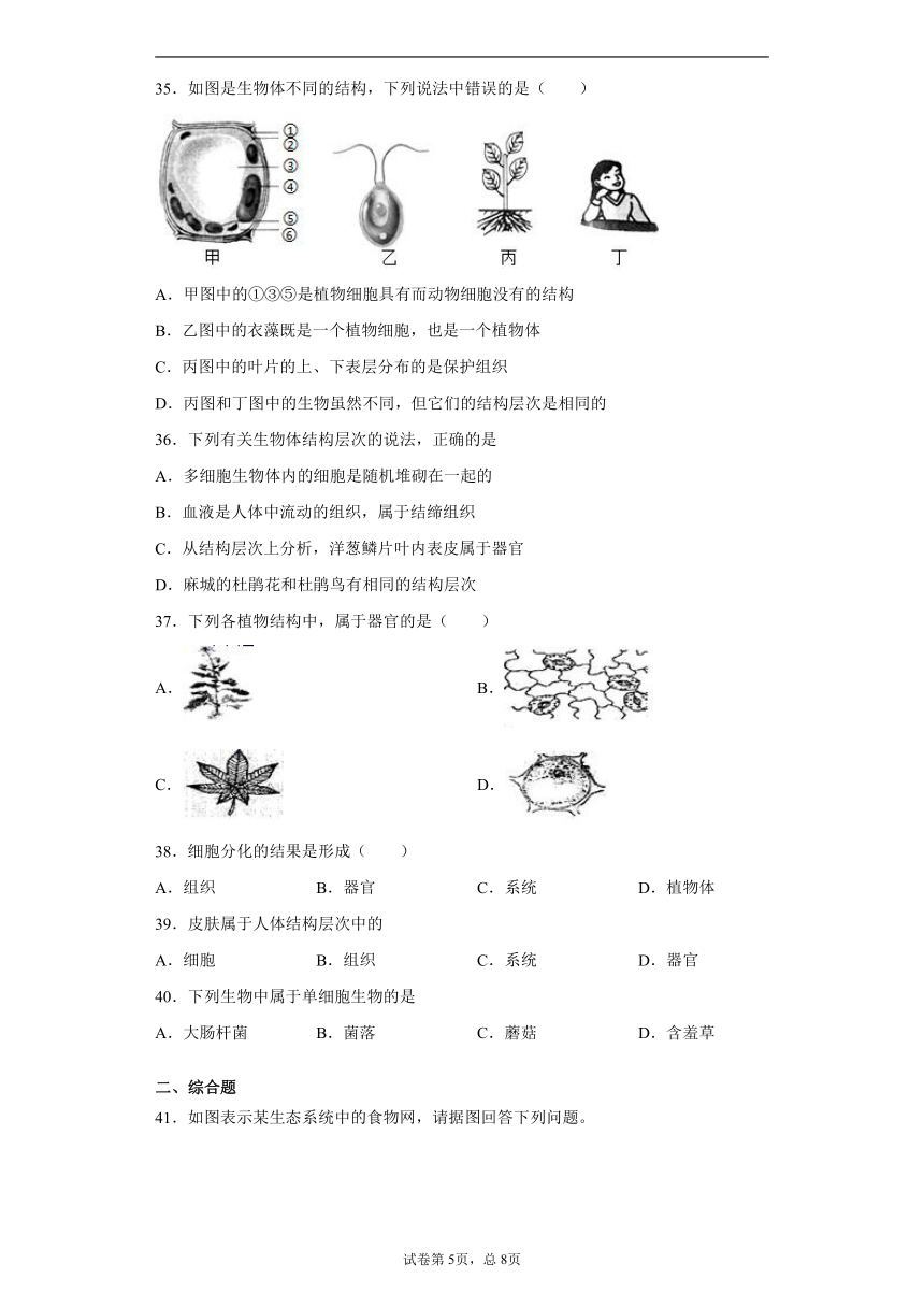 云南省曲靖市麒麟区2020-2021学年七年级上学期期中生物试题(word版含解析）