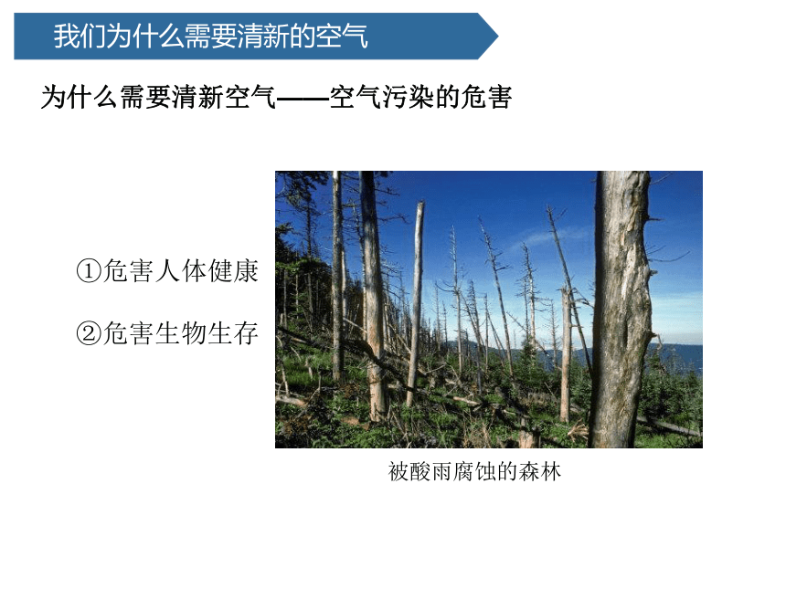 青岛版（六三制2017秋）五年级下册2.11 让空气更清新 课件(共15张PPT)