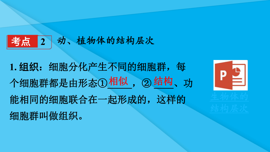 第二单元第二章 细胞怎样构成生物体（知识梳理 期中复习课件）(共38张PPT)