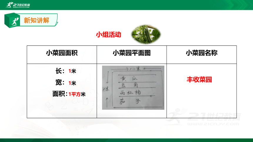 综合实践活动指引三年级《“一米”菜园》第1单元 课件