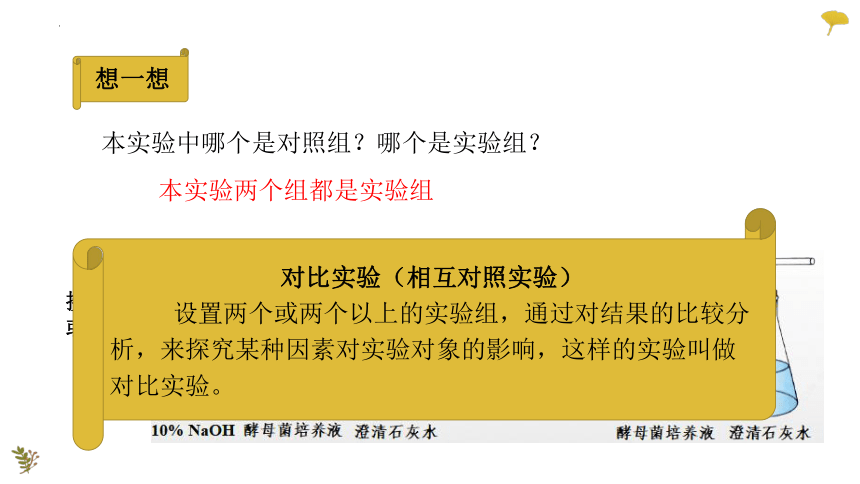 2022-2023学年高一上学期生物人教版（2019）必修1-5.3.1细胞呼吸的原理与应用课件（26张ppt）