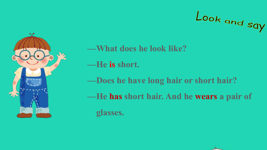 Unit 9 What does he look like? Section A (Grammar Focus-3d) 课件(共26张PPT；无音视频)