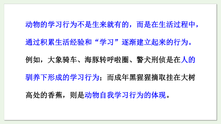 6.18.2 动物行为的生理基础课件(共22张PPT)2023-2024学年初中生物苏教版八年级上册