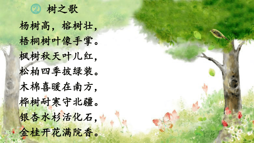 2树之歌（课件）(共41张PPT)