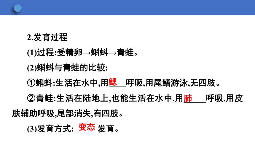 6.1.2 动物的生殖和发育 第2课时课件(共20张PPT)2023-2024学年初中生物冀少版八年级下册