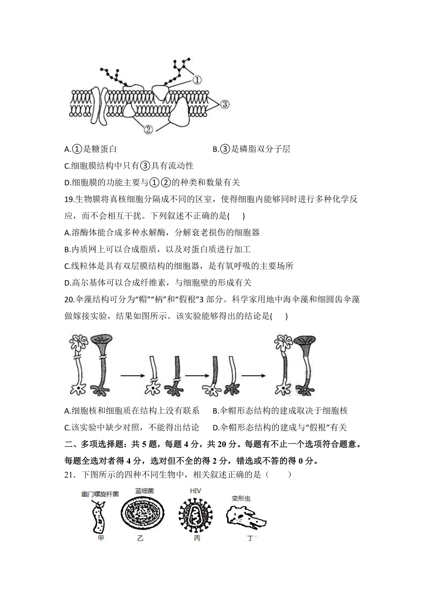 黑龙江省绥化市明水第一高级中学2021-2022学年高一10月月考生物试卷（Word版含答案）