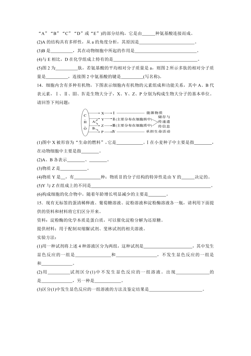 2022-2023学年苏教版2019高中生物必修1 第一章　细胞的分子组成  重点突破练(一)（word版含解析）