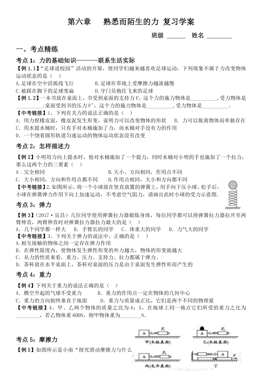 第六章 熟悉而陌生的力  复习学案2022-2023学年沪科版物理八年级全一册