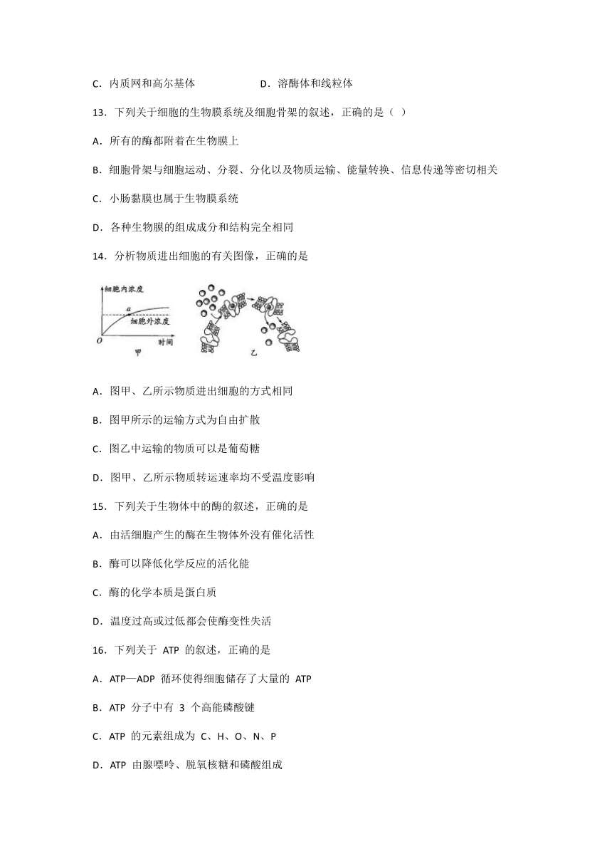 黑龙江省大庆市高中2020-2021学年高二下学期期末考试生物试题 Word版含答案