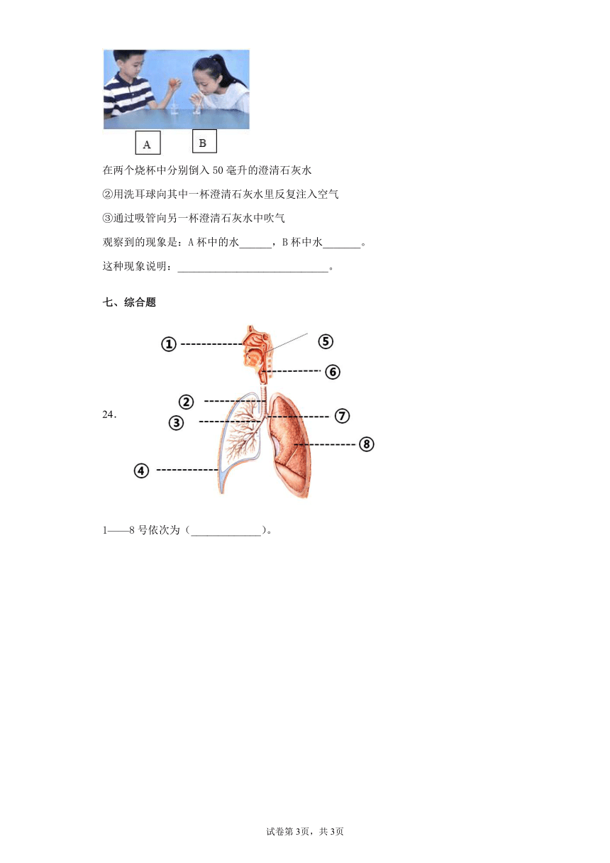 粤教版（2017秋）三年级科学下册期末检测题（含答案）