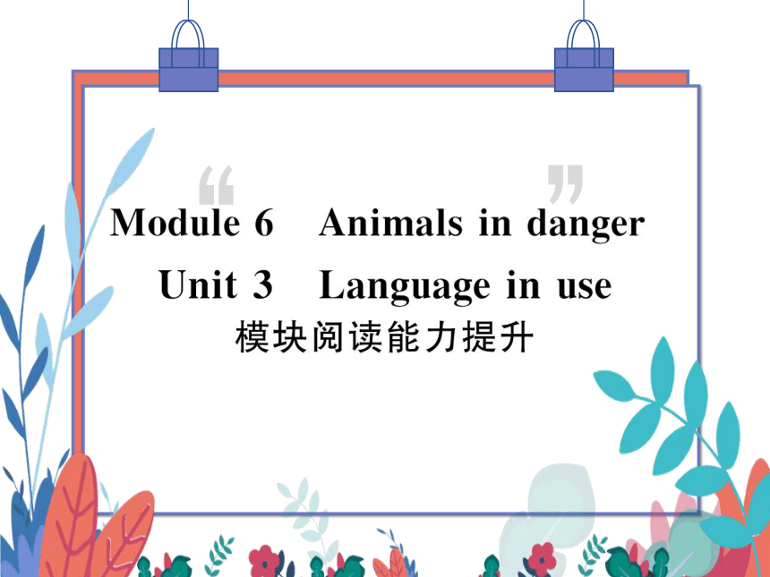 【外研版】八上 Module6 Unit3 Language in use 模块阅读能力提升 习题课件