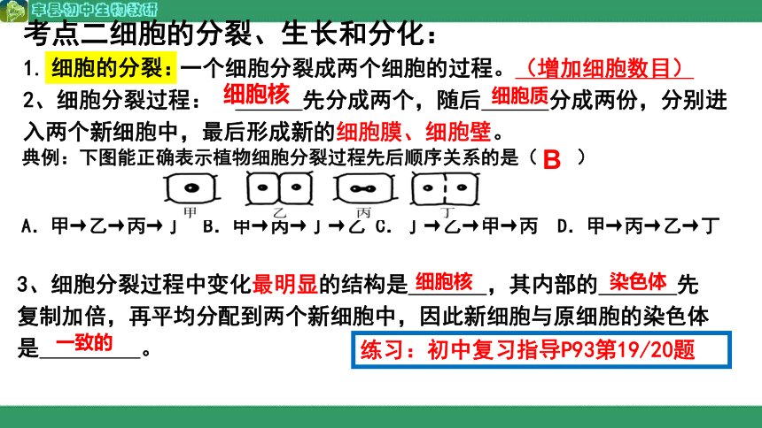 专题二生物体的结构层次课件(共14张PPT)