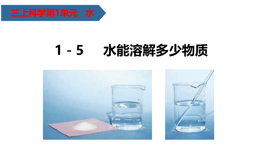 教科版（2017秋）三年级上册科学 1.5水能溶解多少物质（课件12张PPT+课堂练习）