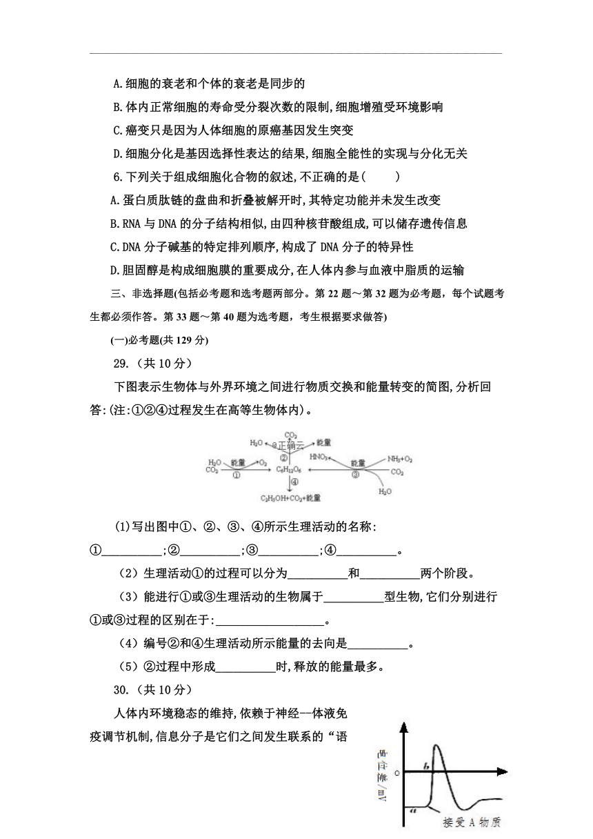 新疆昌吉九中2021届高三上学期开学考试生物试题