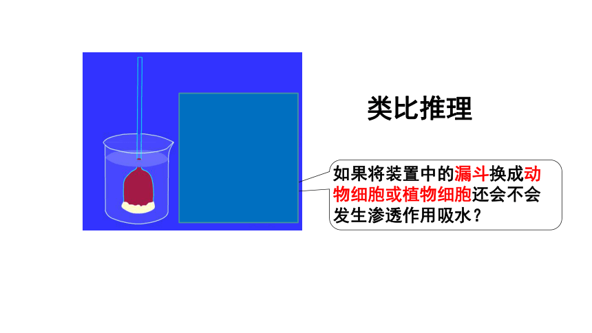 【备考2022一轮复习】&1.4 物质跨膜运输实例及物质运输方式（共52张ppt）