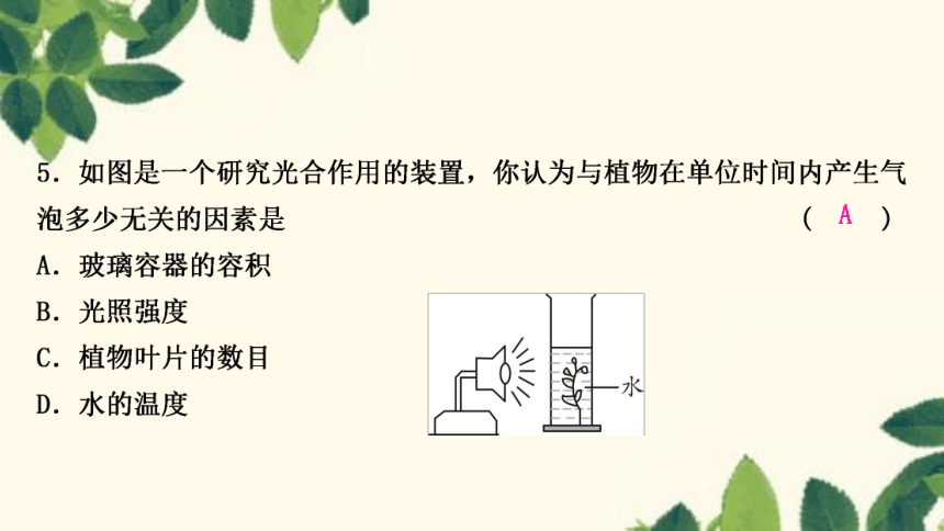 人教版生物七年级上册 期末复习专题(四)　第三单元 第三～六章 复习课件(共22张PPT)