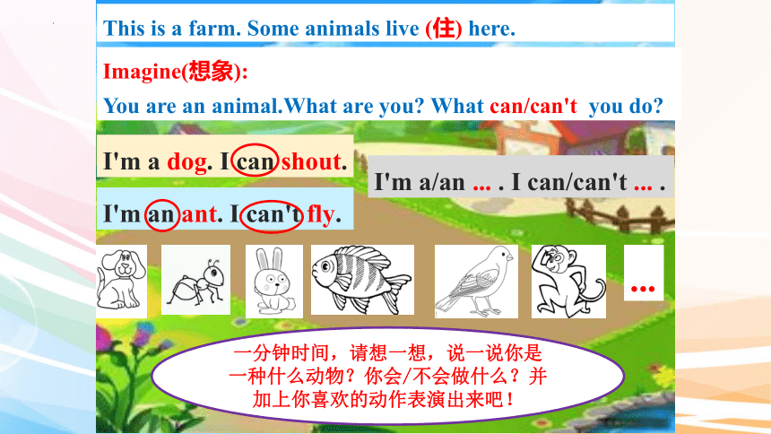 Lesson O Can You Fly 课件(共13张PPT)