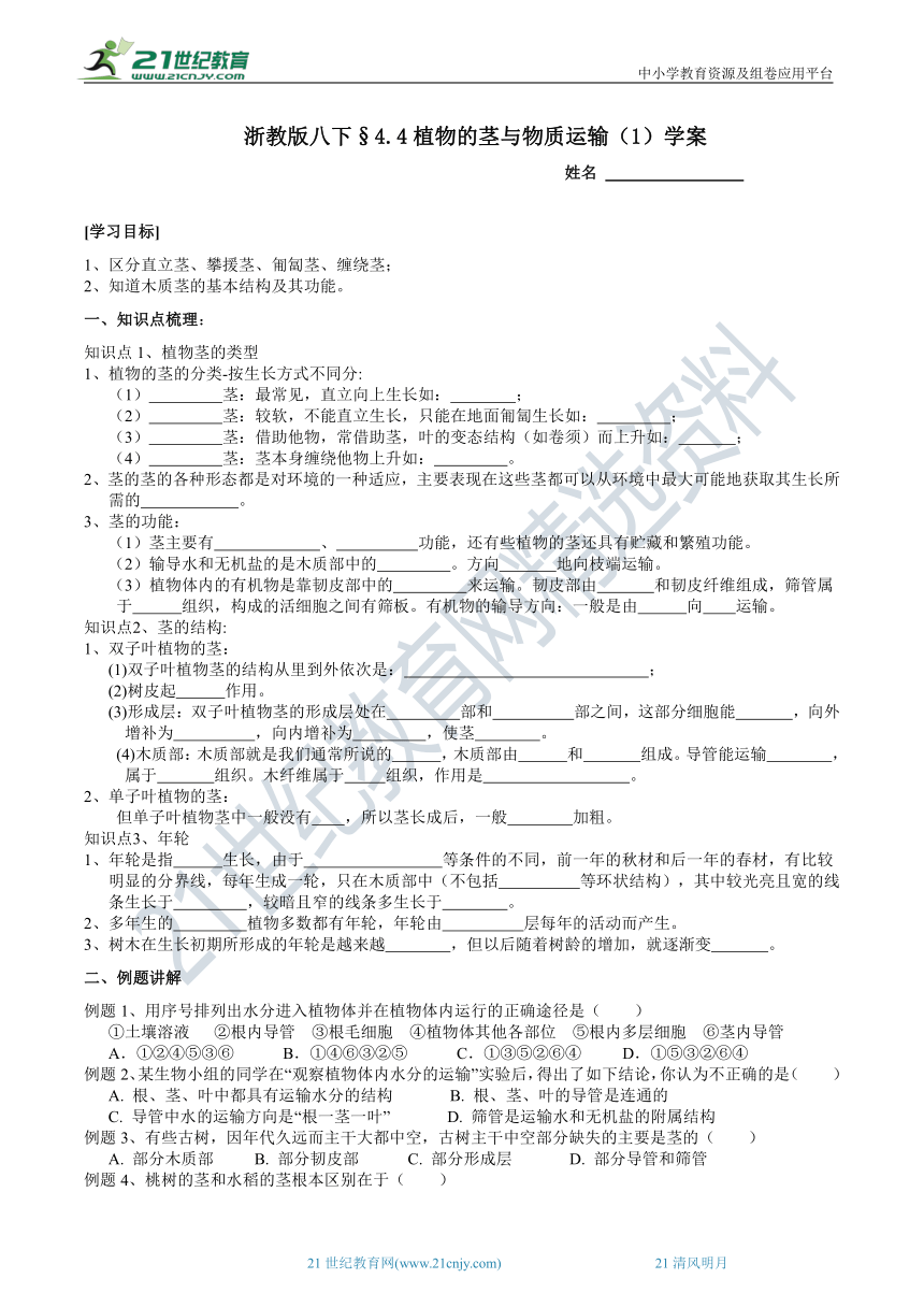 2022浙教版八下科学4.4植物的茎与物质运输（1）学案（含答案）