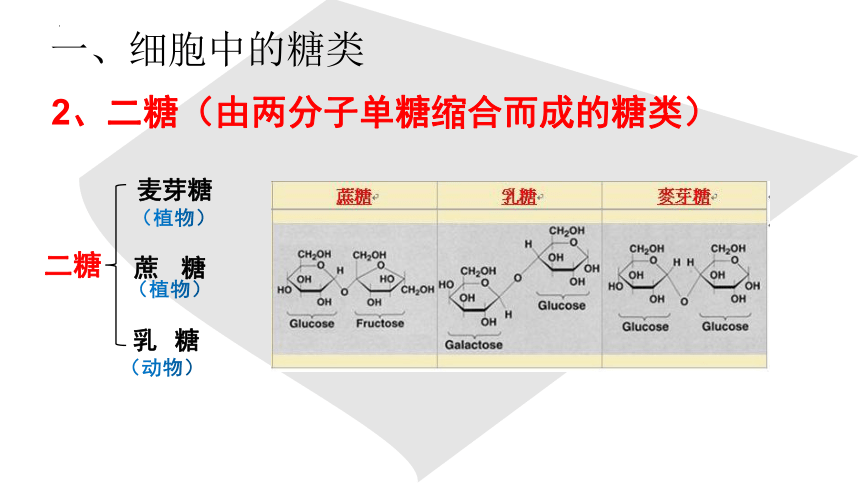 2021-2022学年高一上学期生物人教版必修1-2.4细胞中的糖类和脂质课件（共20张ppt）