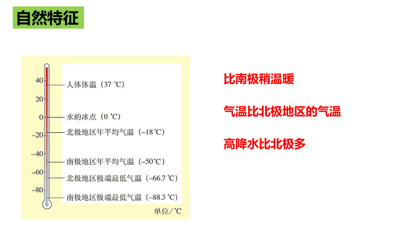 第十章《极地地区》课件(共34张PPT)2022-2023学年人教版地理七年级下册