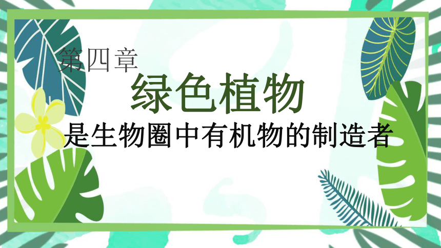 2021-2022学年人教版七年级生物上册第三单元第四章 绿色植物是生物圈中有机物的制造者  课件(共23张PPT)