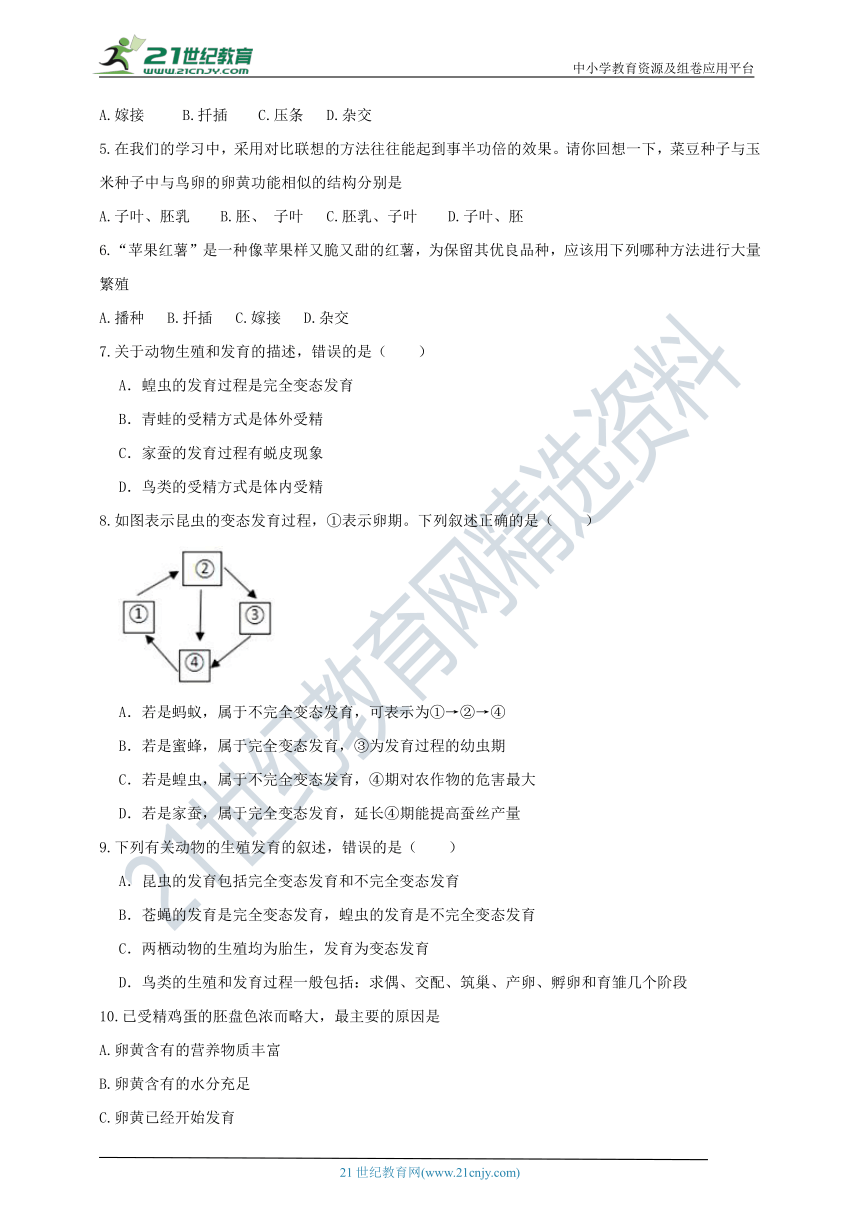 人教版八年级下册生物第七单元第一章  生物的生殖和发育 综合训练题（word版 含答案）