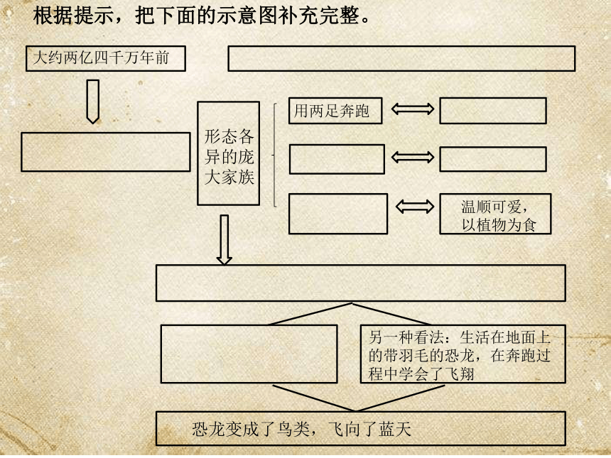 6《飞向蓝天的恐龙》第二课时 课件 (共19张PPT)