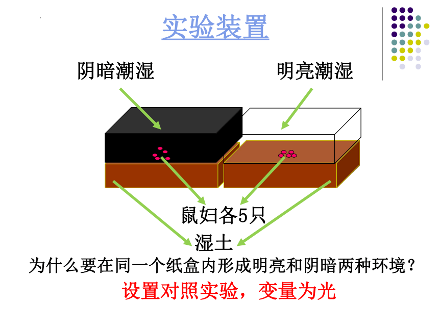 1.2.1生物与环境的关系（第2课时）课件(共15张PPT)2022--2023学年人教版七年级上册生物