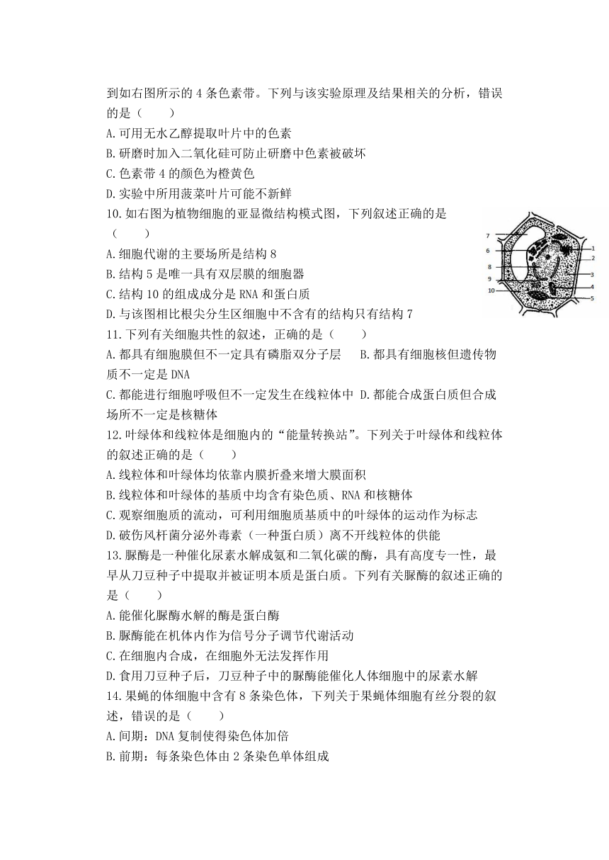 黑龙江省齐齐哈尔市2021-2022学年高一上学期期末考试生物试题（Word版含答案）