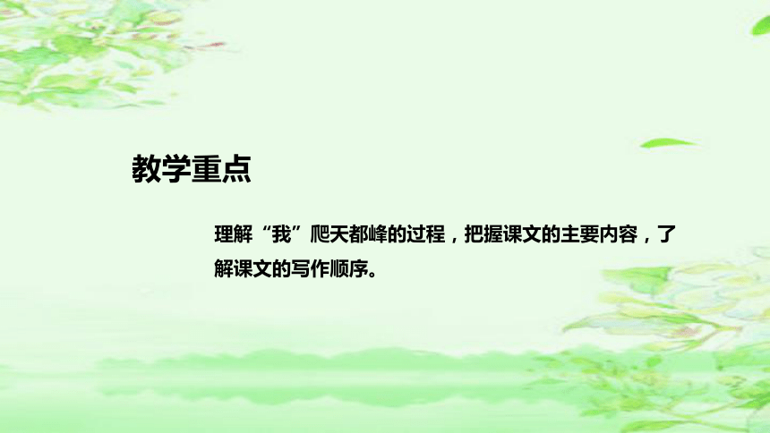 17《爬天都峰》   说课课件(共50张PPT)