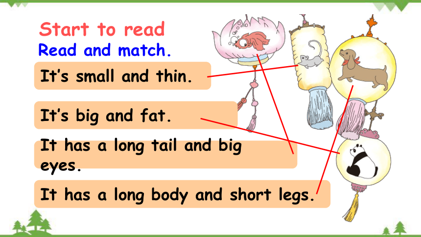 Unit 3 At the zoo  Part B Start to read & Let's check & Let's sing & Story time课件(共25张PPT)