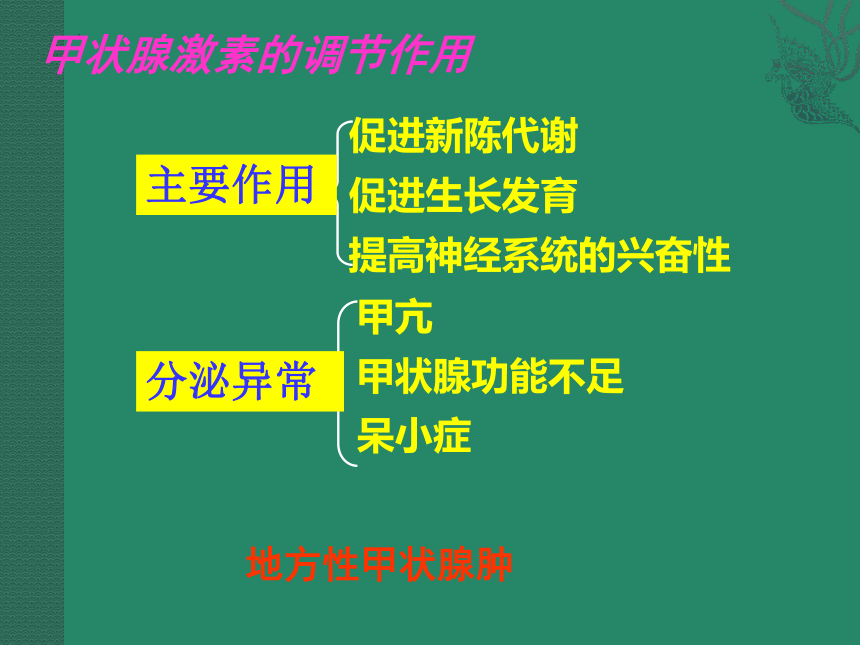 3.5.1人体的激素调节课件(共32张PPT)2022--2023学年济南版生物七年级下册