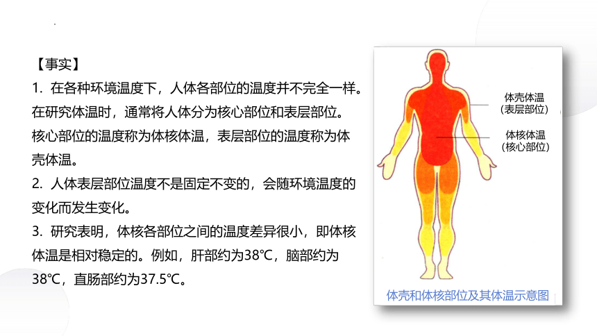 2.4+体温稳定的调节（课件）-2022-2023学年高二生物同步精品课堂（苏教版2019选择性必修1）(共28张PPT)