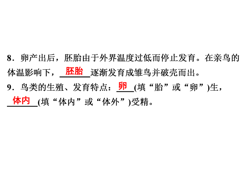 2021-2022学年度北师版八年级生物上册19.2 动物的生殖和发育课件(共31张PPT)