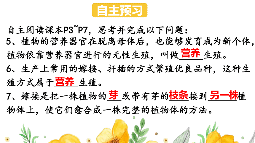 8.21.1 生物的无性生殖（第一课时）课件（共25张PPT+内嵌5段视频）八年级生物下册（苏教版）