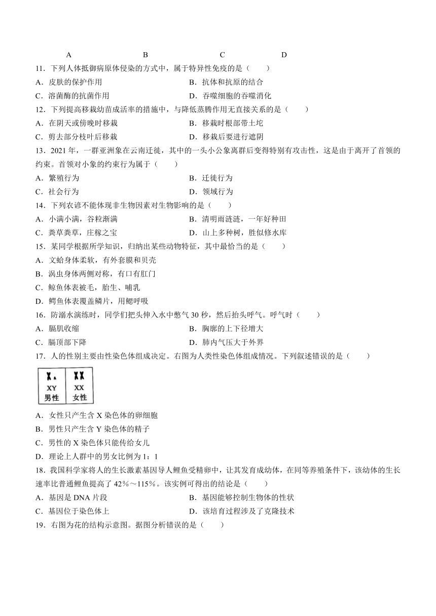 2022年山东省日照市初中学业水平考试生物试题(word版无答案)