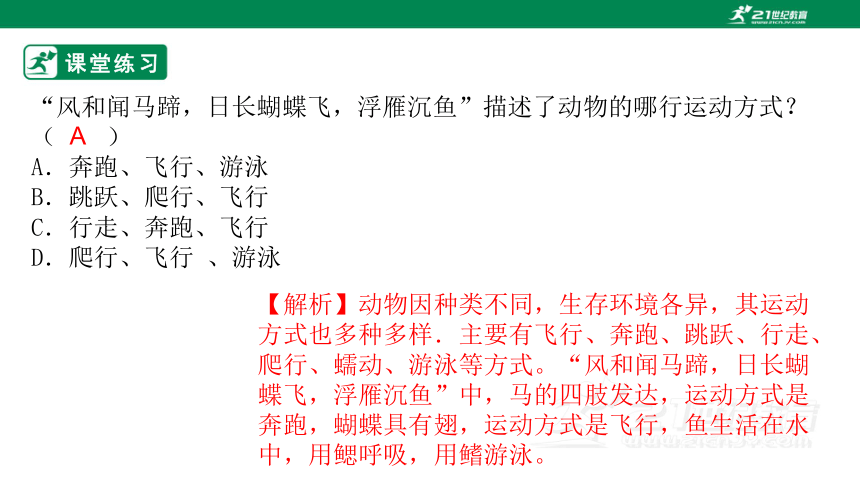 济南版2022-2023学年七年级生物上册2.2.3 动物的运动-同步课件（共31页ppt）