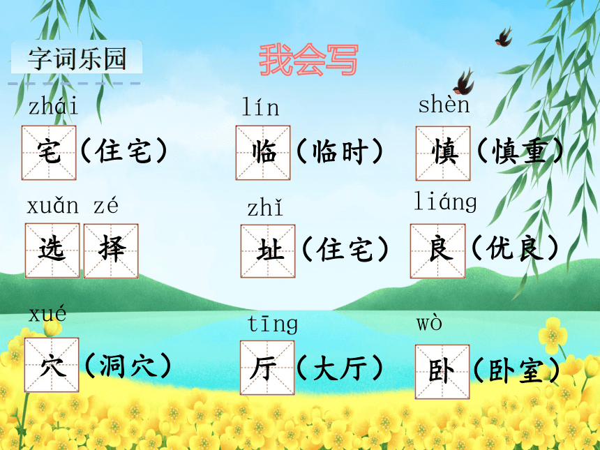 11.蟋蟀的住宅 课件(共43张PPT)