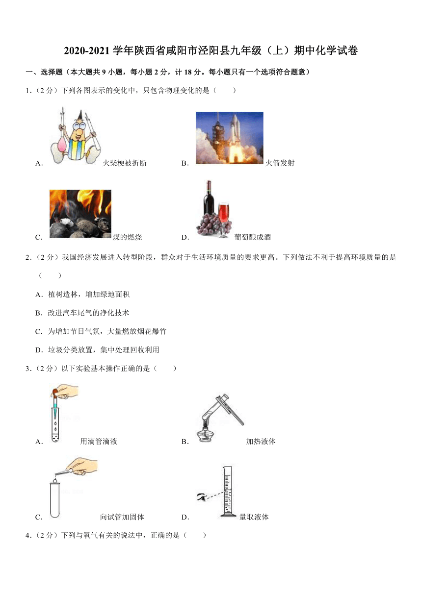 2020-2021学年陕西省咸阳市泾阳县九年级（上）期中化学试卷（word  含解析）