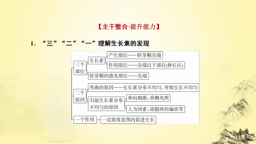 新人教生物二轮复习课件11 植物生命活动的调节(课件共50张PPT)