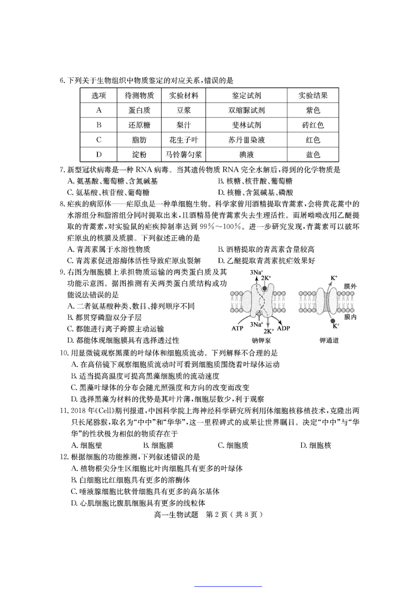 山东省聊城市2021-2022学年高一上学期期中考试生物试题（PDF版含答案）