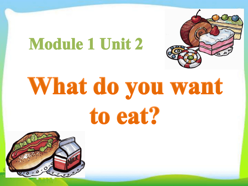 Module1 Unit2 What do you want to eat？课件（13张PPT）