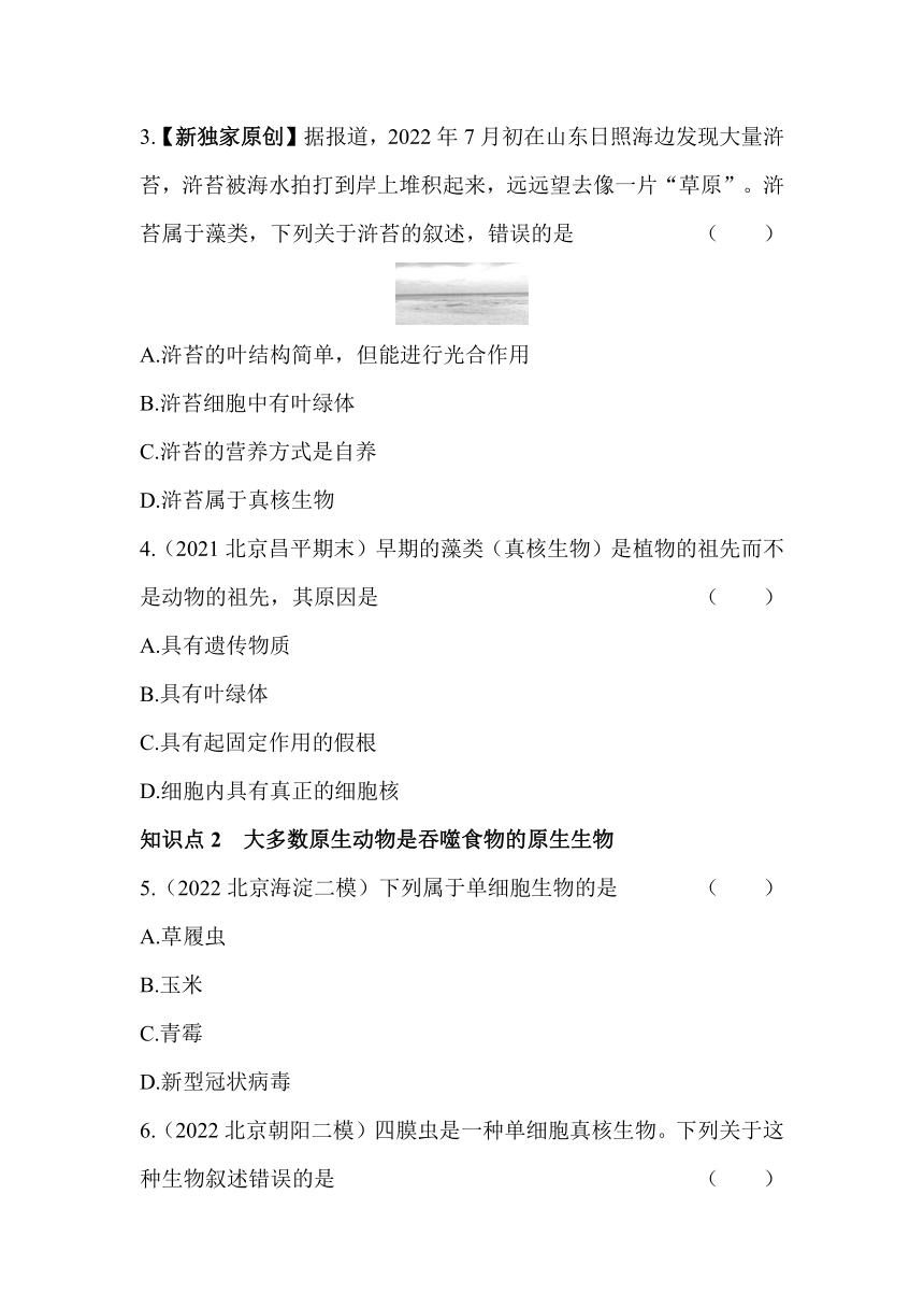 北京课改版生物八年级下册  13.3原生生物同步练习（含解析）