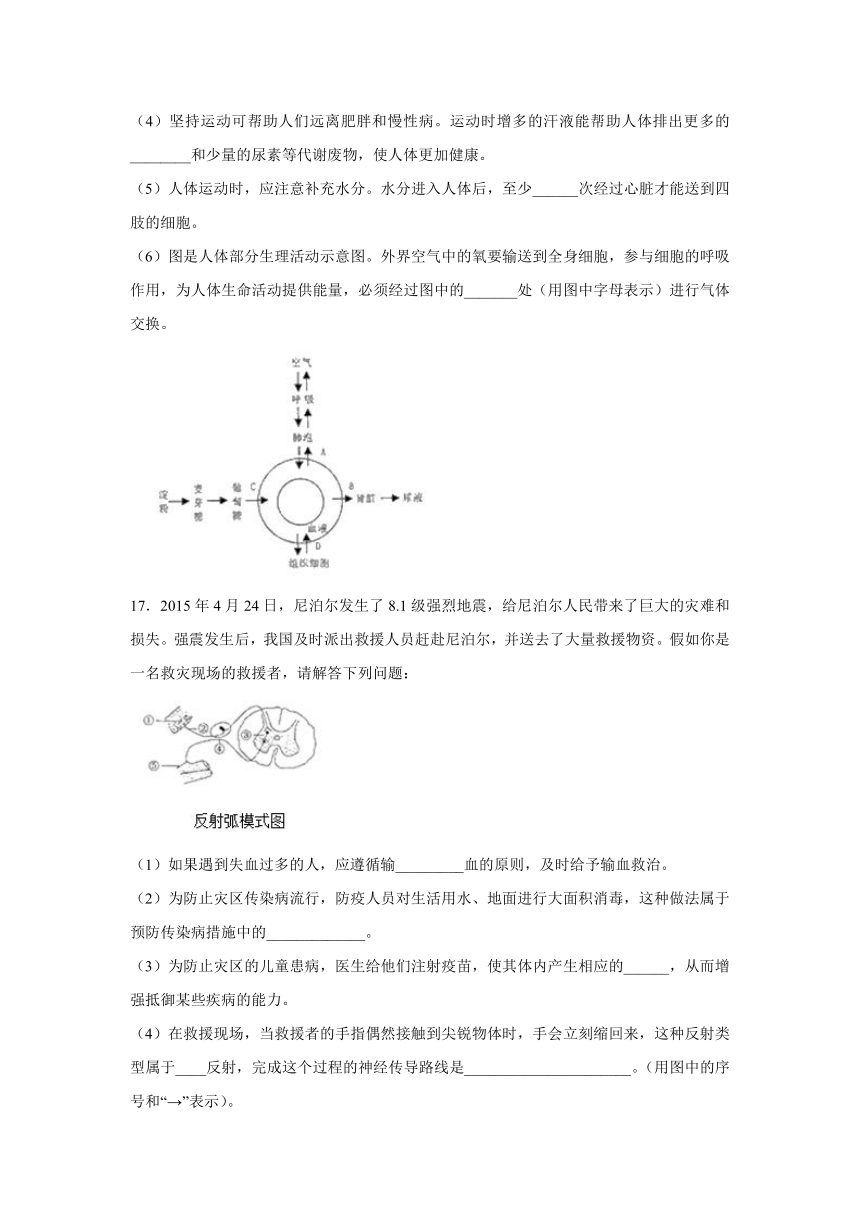 【会考专训】中考生物会考复习专项训练19：人体生命活动的调节（含解析）