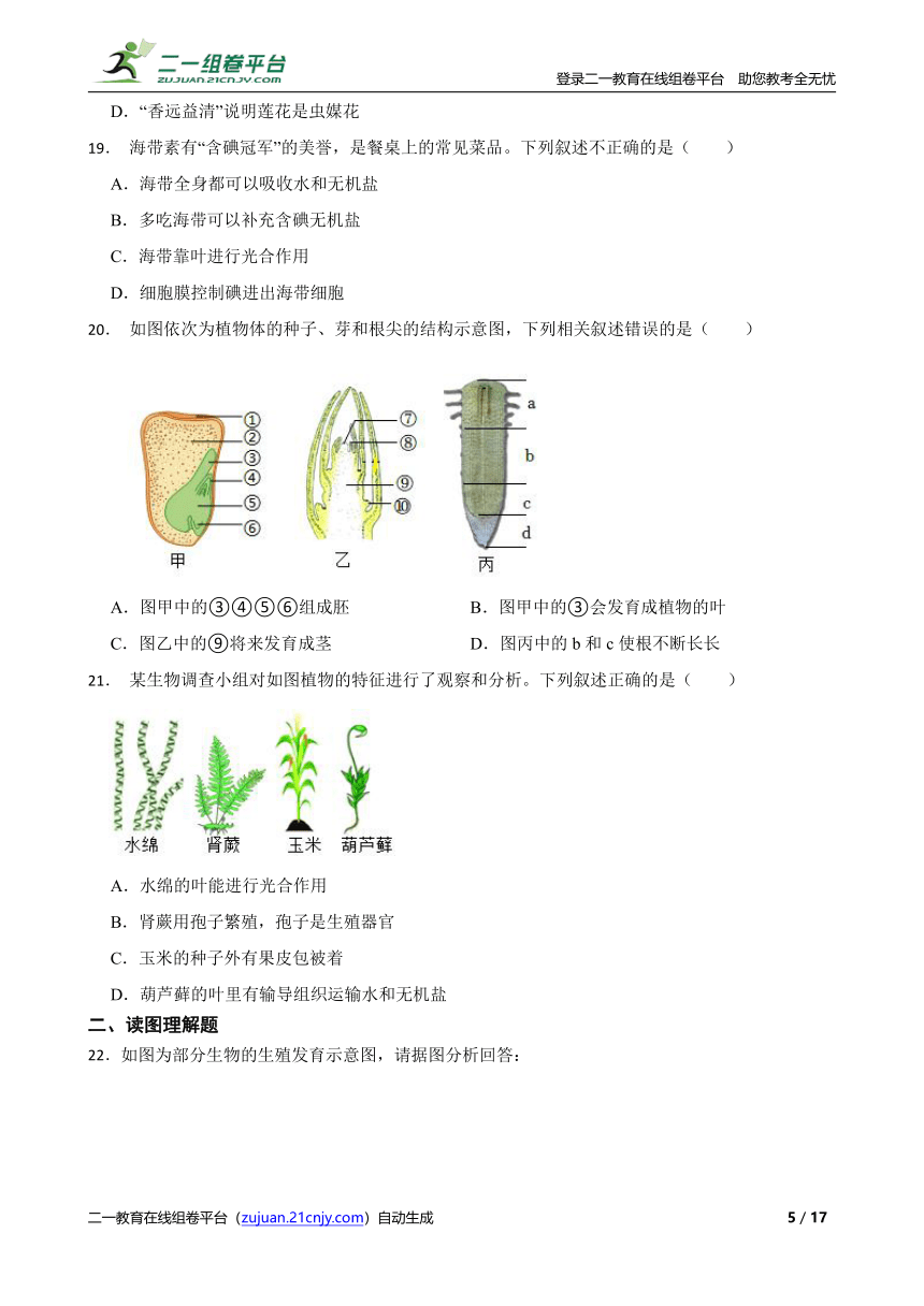重难点04 生物圈中的绿色植物（一）（含解析）