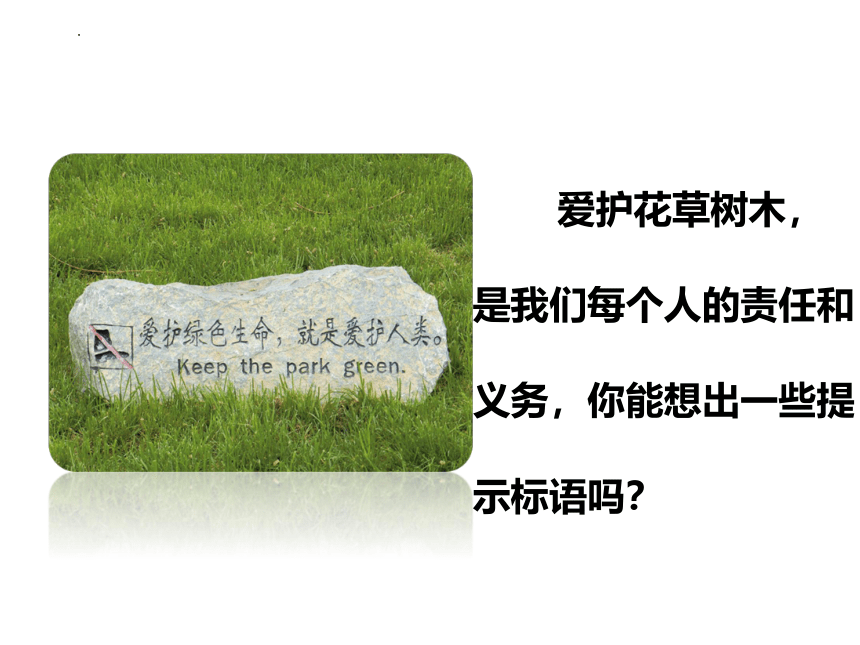 第六章  爱护植被 绿化祖国课件(共21张PPT)2022-2023学年人教版七年级生物上册