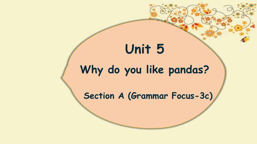 Unit 5 Why do you like pandas  Section A (Grammar Focus-3c)课件(共21张PPT)