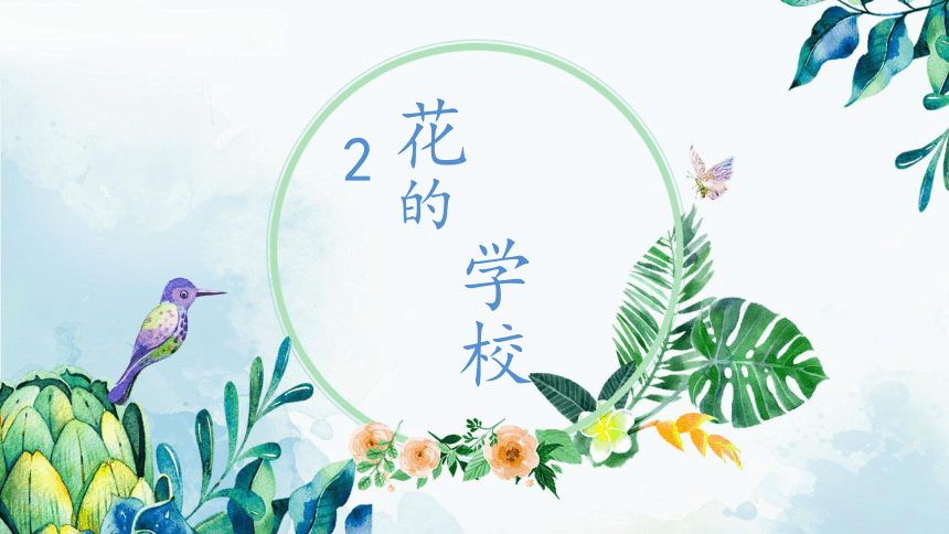 2 花的学校 课件 (共22张PPT)