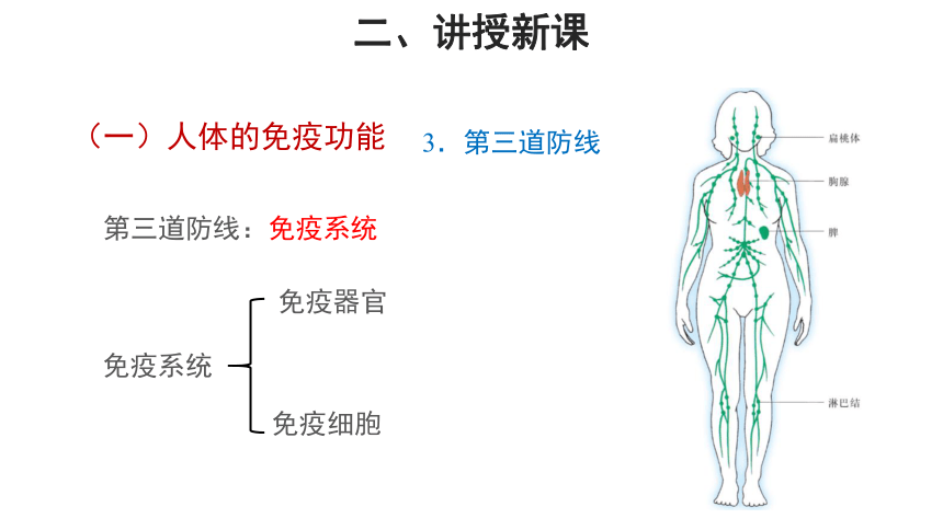 苏教版八年级下册 第三节 免疫 教学课件（共20张PPT）